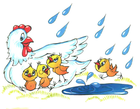 В дождь, Барто, курица наседка под дождем иллюстрация