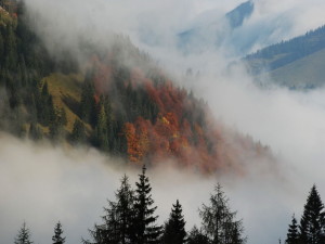 Туман в горах, красивое фото