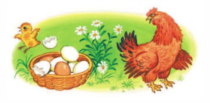 Загадка Чуковского про цыпленка и яйцо