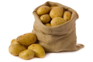 Картофель в мешке фото на белом фоне