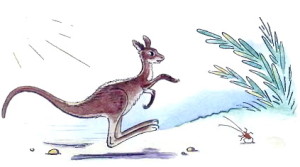 рисунок кенгуру