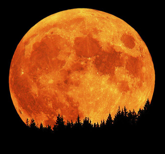 Большая апельсиновая луна Сапгир месяц