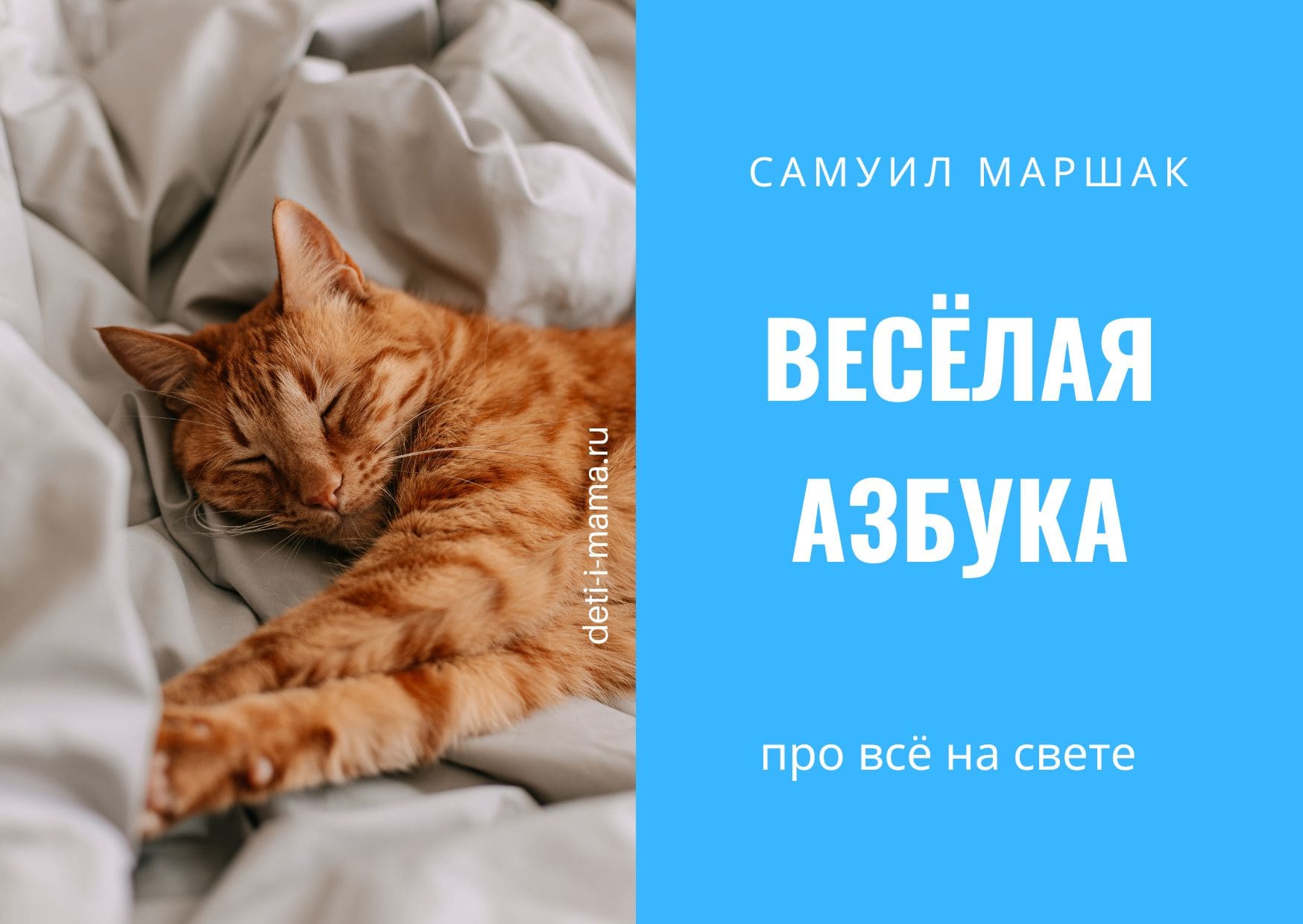 Веселая азбука про все на свете