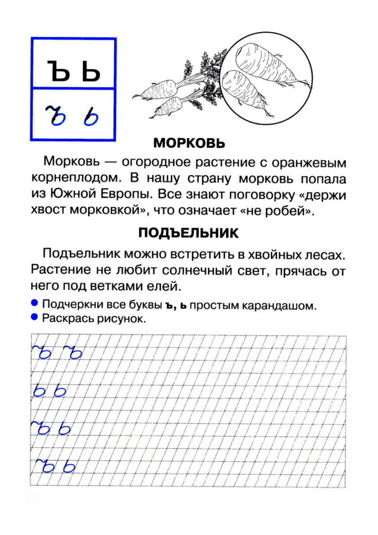 Картинки с твердым знаком для детей