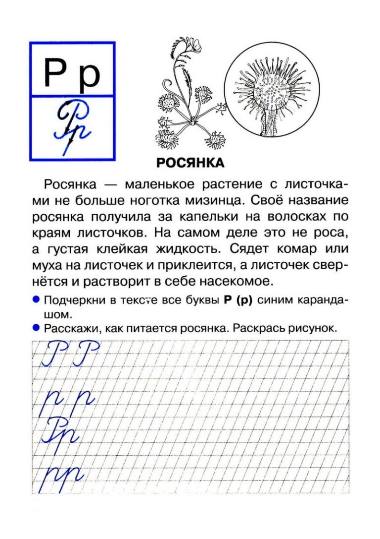 Проект буква р 1 класс