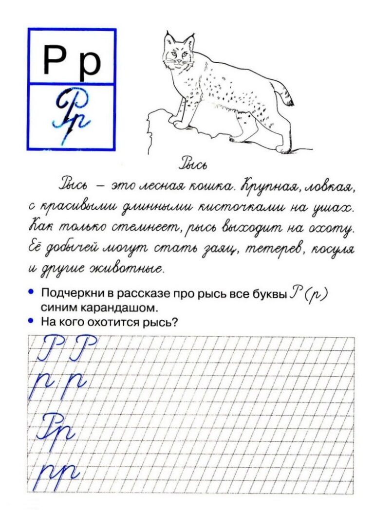 Проект буква р 1 класс