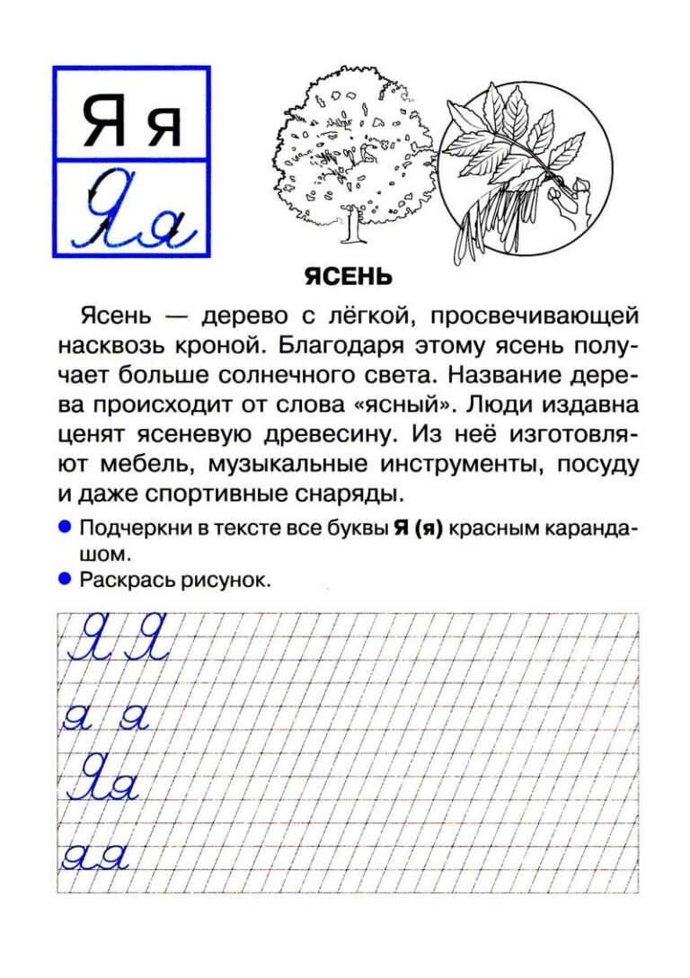 Учим букву Я | Задания и прописи с буквой Я
