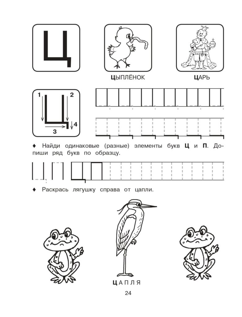 Пропись печатная буква Ц для дошкольников